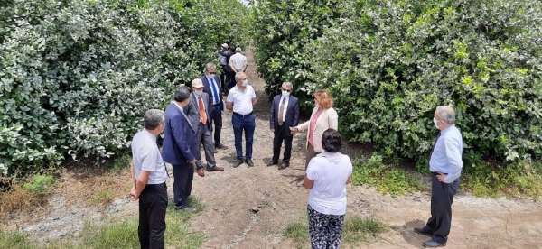 TARSİM'den Adana Turunçgil Üreticileri Birliği Başkanı'na ziyaret 