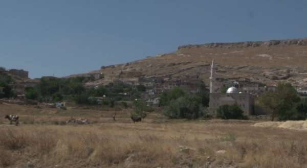 Terör örgütü PKK'nın Cevizli saldırısı unutulmuyor 