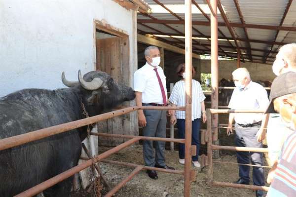 Samsun'da 'Mandalarda Suni Tohumlama Projesi' başladı