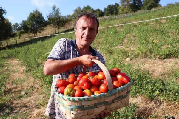 Doğal domateslerden elde ettiği 2 ton salçayı ihaleyle satışa çıkartacak 