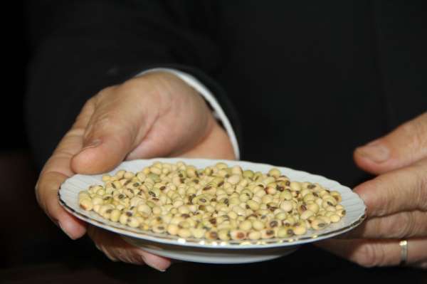 Çorum'da soya fasulyesi üretiminin teşvik edilmesi ve destek verilmesi için çağr