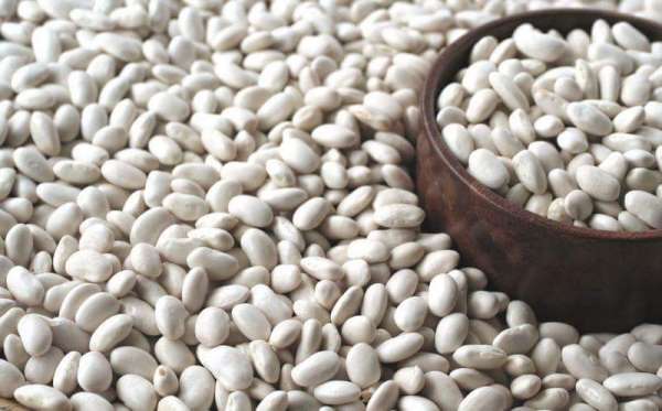 Posof fasulyesi coğrafi işaretini aldı