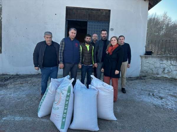 Samsun'da 'çok yıllık yem bitkileri örnek ekim tarlaları' kurulacak