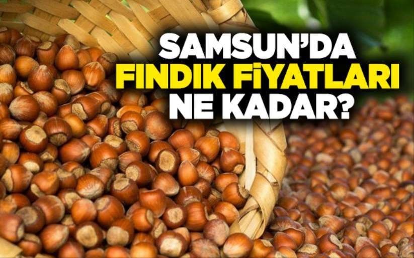  Fındık fiyatları ne kadar oldu? İşte 10 Şubat Cumartesi il il fındık fiyatları