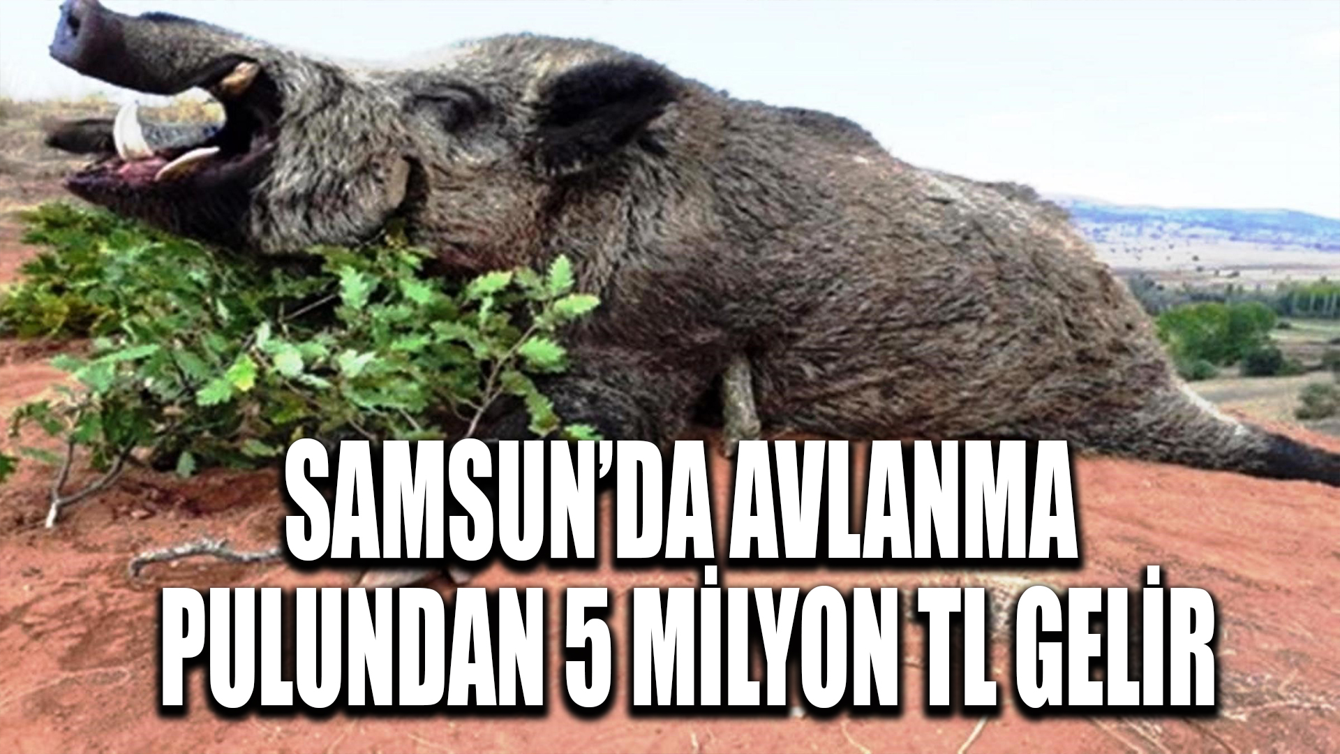 Samsun'da avlanma pulundan 5 milyon TL gelir