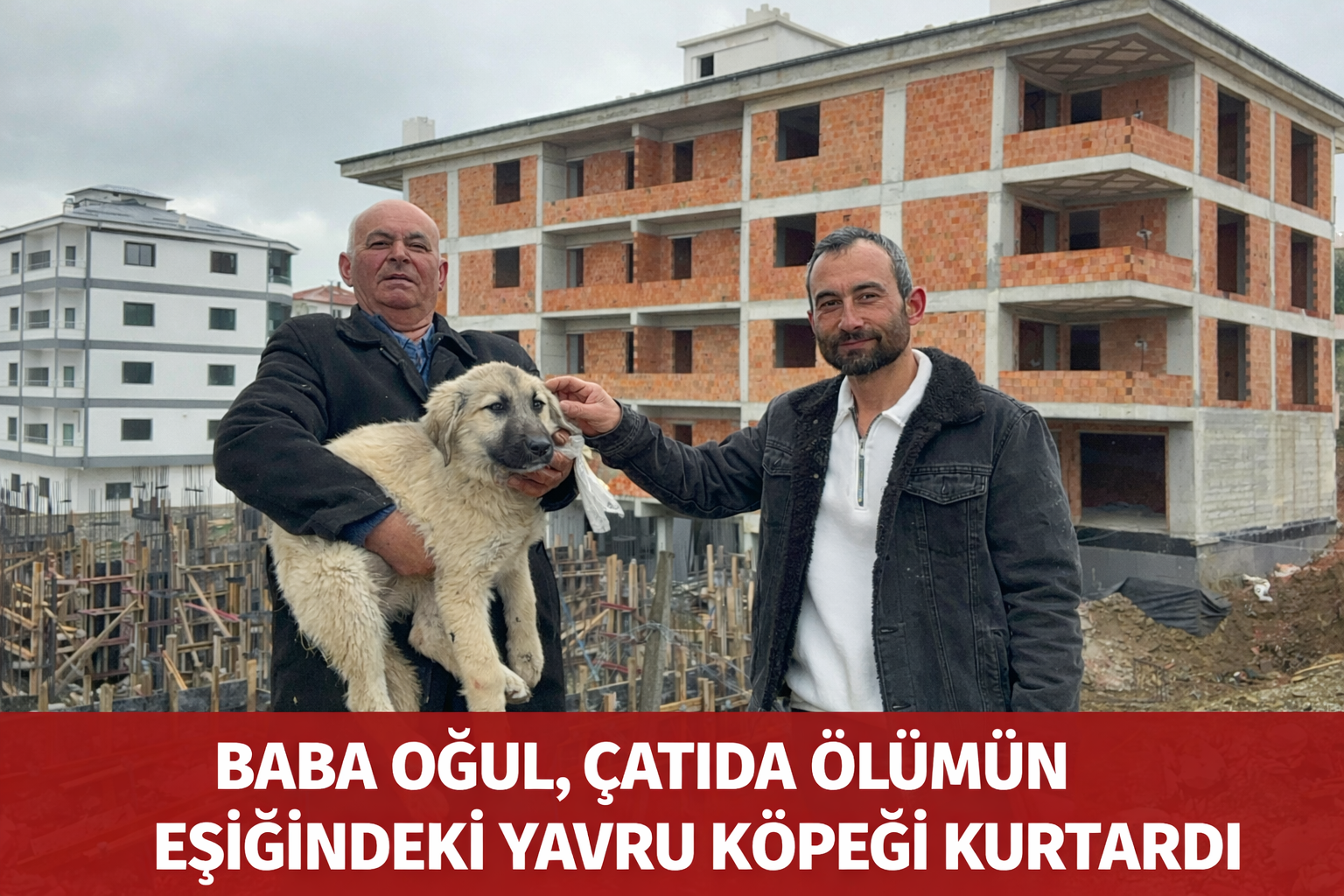 Baba oğul, çatıda ölümün eşiğindeki yavru köpeği kurtardı