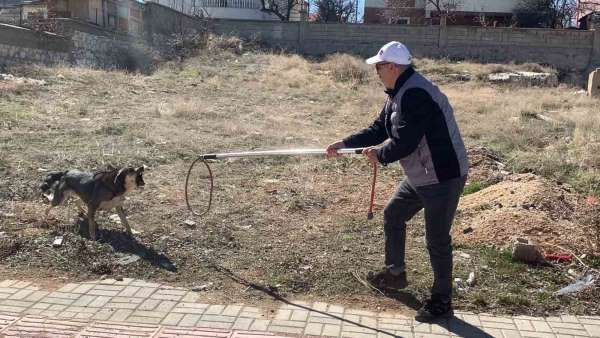 Karaman'da köpeğin saldırısından oğlunu kurtarmak isteyen baba yaralandı