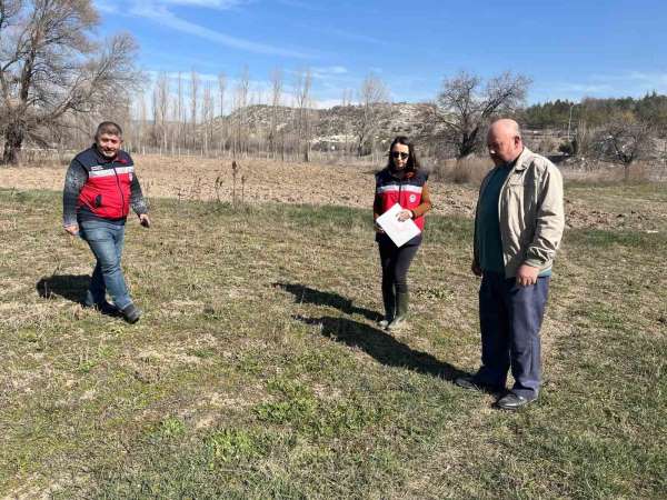 Kütahya'da tarla faresine karşı etkin mücadele çalışmaları