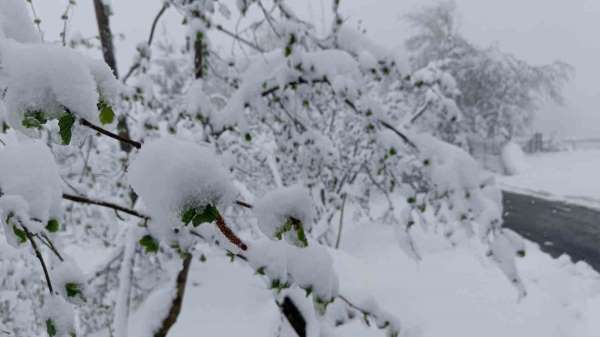 Meteorolojiden Ordu için 'sarı kodlu' uyarı
