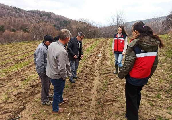 Kütahya'da yüzde 75 hibeli ahududu bahçelerinde kontroller gerçekleştirildi