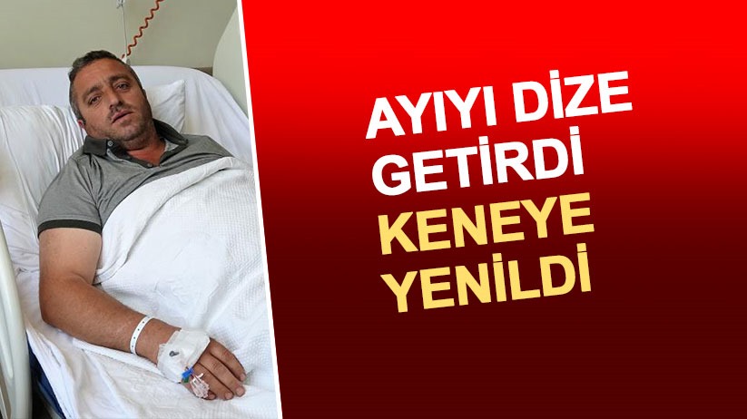 Ayıyı dize getirdi, keneye yenildi