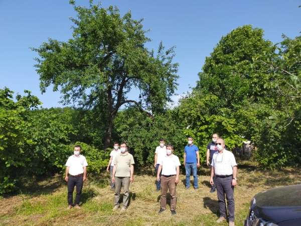 Ordu'da tüketilen Ordu'da üretilecek