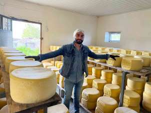 Kars'ta tonlarca süt, eski kaşar için işleniyor