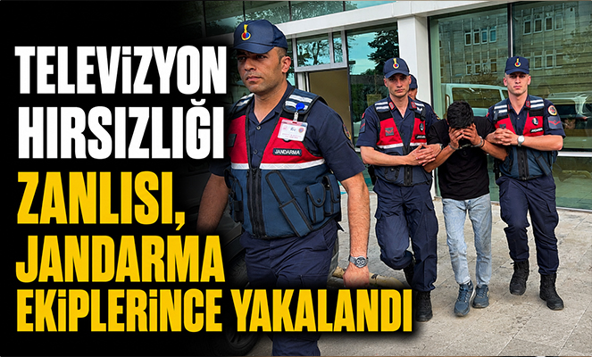 Televizyon hırsızlığı zanlısı, jandarma ekiplerince yakalandı