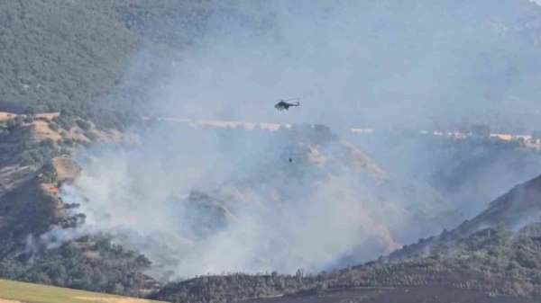 Amasya'da orman yangını: 50 dönüm orman, 150 dönüm tarım arazisi zarar gördü