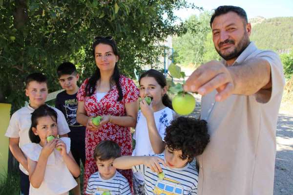 Don felaketinden korunan elmaları satmayıp bahçesine gelenlere ikram ediyor