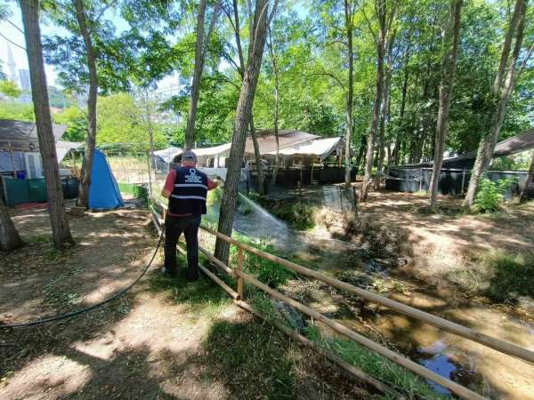 Ordu'da vektörel mücadele sürüyor