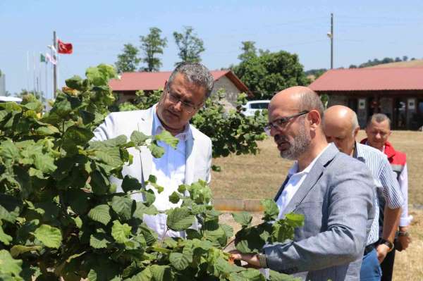 Samsun'da tarımsal üretim çalışmaları yerinde incelendi