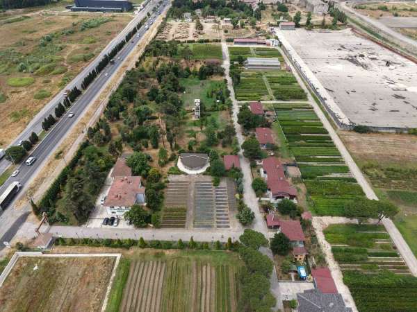 Samsun'dan 'Yeşil Vatan'a yılda 3 milyon fidan