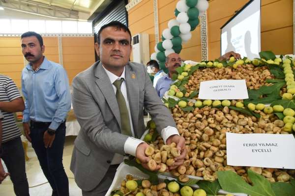Nazilli'de sezonun ilk kuru inciri kilosu 400 TL'den satıldı