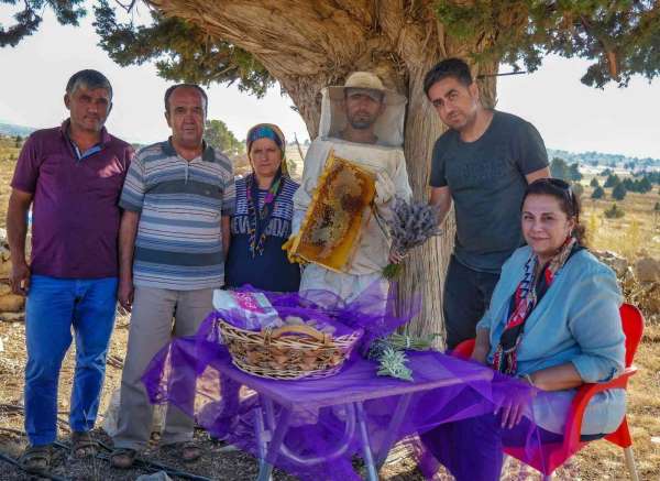 Silifke'de lavanta balı üretimi yapıldı