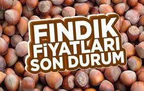 Samsun'da fındık fiyatları ne kadar?