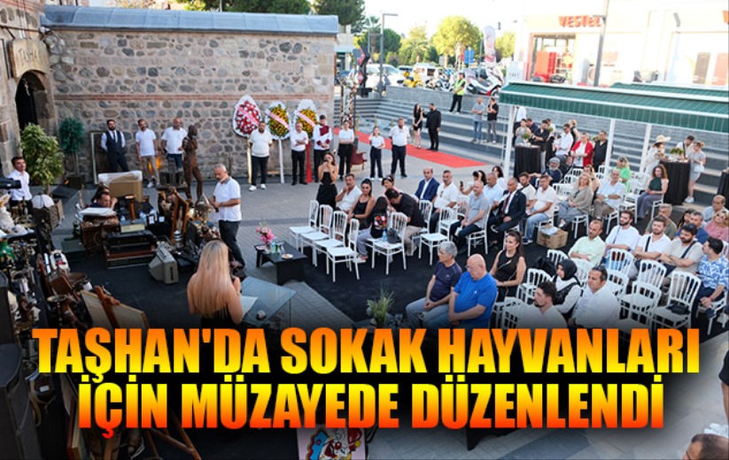 Taşhan'da sokak hayvanları için müzayede düzenlendi