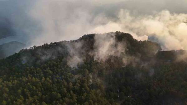 Sinop'taki orman yangını kontrol altına alındı, soğutma çalışmaları sürüyor