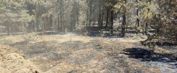Vali Özarslan: 'Yangın nedeniyle tahliye edilenler köylerine dönebilir'