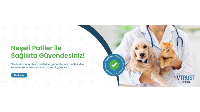 Evcil Hayvan Sigortası Teminatları Ne Zaman Başlar?