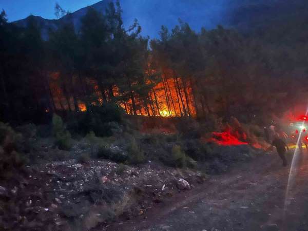 Alanya'da ormanlık alanda çıkan yangın kontrol altına alındı