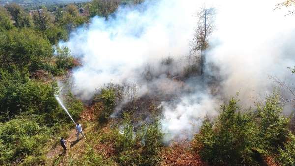 Sinop Erfelek'te orman yangını 