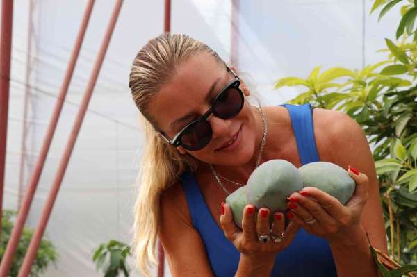 Antalya'da yılın ilk mango hasadı Ivana Sert'ten