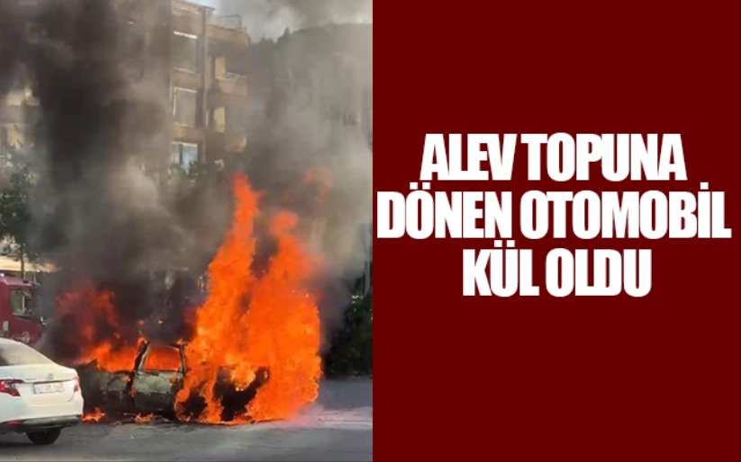 Alev topuna dönen otomobil kül oldu