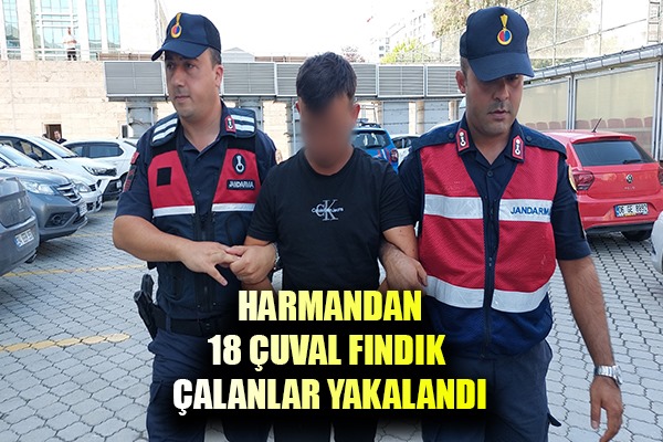 Harmandan 18 çuval fındık çalındı: 2 kişi yakalandı