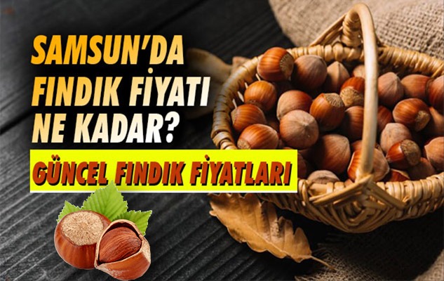 Fındık fiyatları ne kadar oldu? 10 Eylül Salı i il il fındık fiyatları