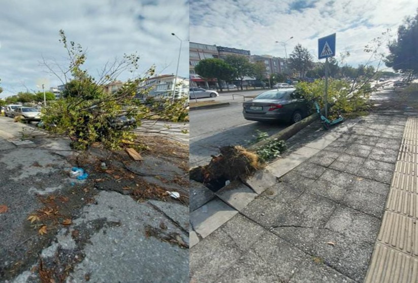 Samsun'da metrekareye 120 kilo yağış düştü