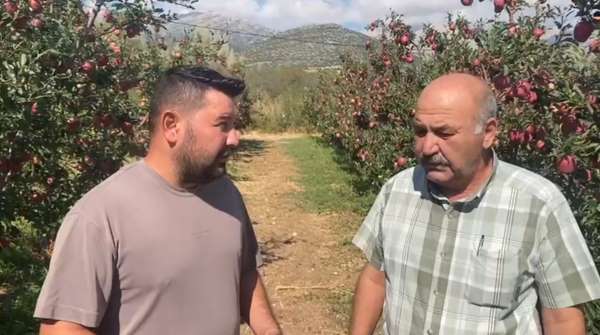 Isparta'da bir gecede 4 bin 200 ton elma doluya teslim oldu, zarar 170 milyon TL