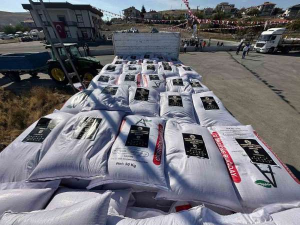 Sincan Belediyesi'nden çiftçilere buğday tohumu desteği