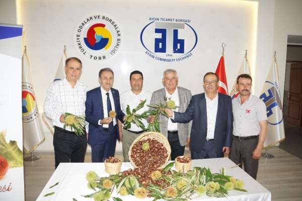 Aydın'da sezonun ilk kestanesi borsaya teslim edildi
