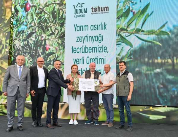 Türkiye'deki delice zeytinleri ekonomiye kazandırılmaya devam ediyor