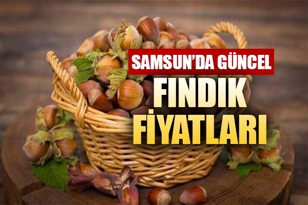 Fındık fiyatları ne kadar oldu? 10 Ekim Perşembe il il fındık fiyatları