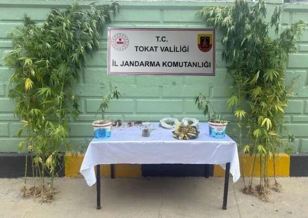 Tokat'ta jandarma ekipleri tarafından 2 ayda 56 kişi hakkında uyuşturucuya bağlı suçlarından işlem yapıldı