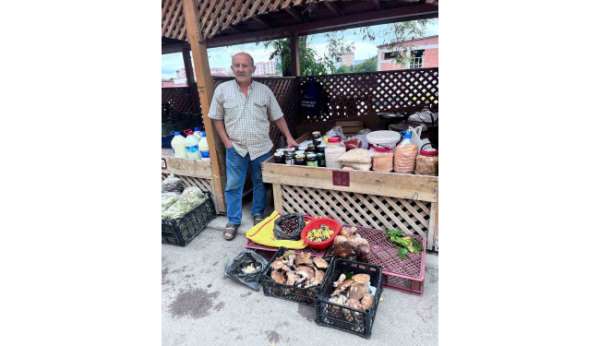 Türkeli'de kestane ve fesleğen mantarı tezgahlarda