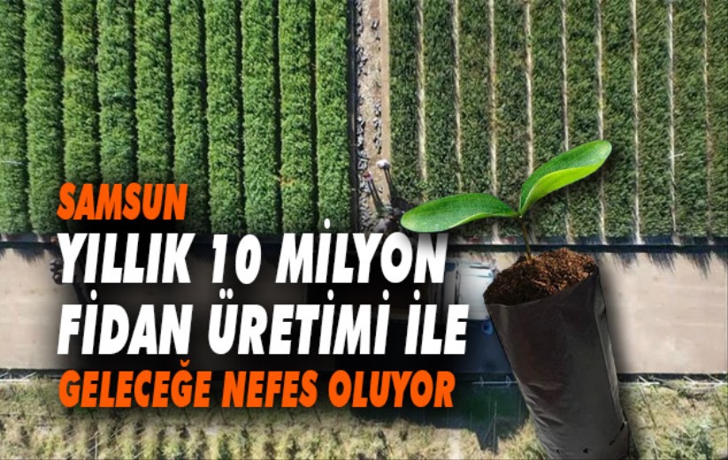 Samsun yıllık 10 milyon fidan üretimi ile geleceğe nefes oluyor