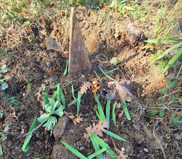  Mezarlıkta Şok Eden Olay: 'Çocuk Mezarı Sanıldı İçinden Çıkan Şaşırttı