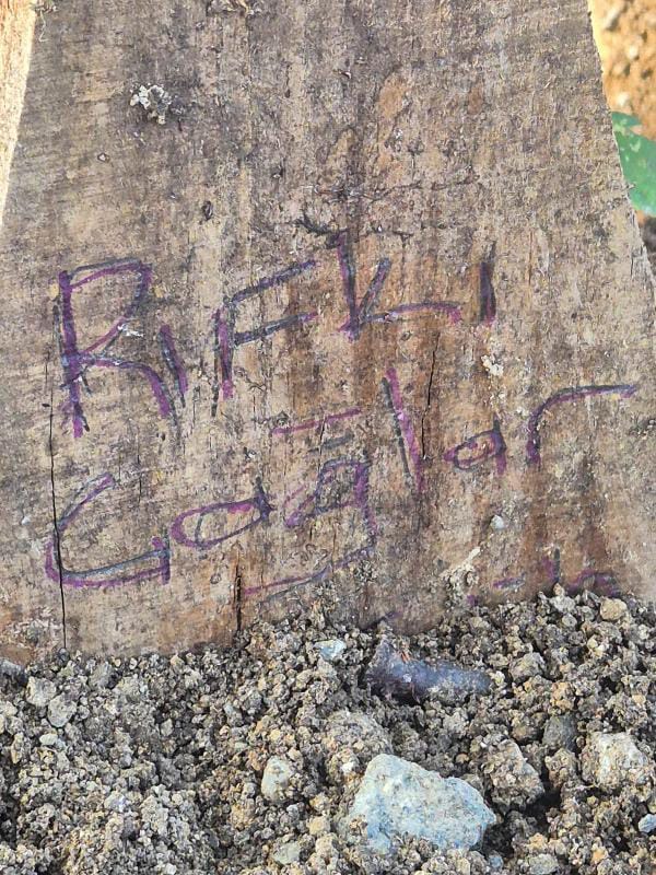 Mezarlıkta Şok Eden Olay: 'Çocuk Mezarı Sanıldı İçinden Çıkan Şaşırttı