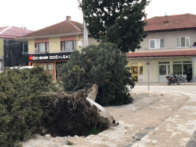 Akyazı'da fırtına hayatı olumsuz etkiledi
