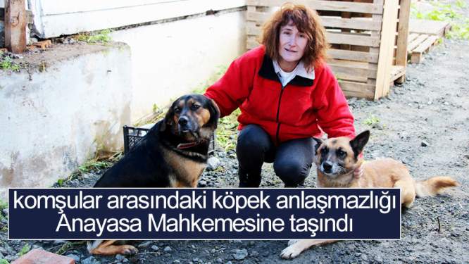 Samsun Haberleri: Köpek Anlaşmazlığı Anayasa Mahkemesine taşındı 