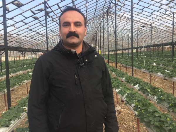 Hatay'da topraksız tarım başladı